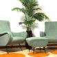 Coppia di Poltrone LADY & Pouf Sky Blue  Anni 50 Design Attribuito Marco Zanuso Made in Italy