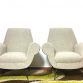 Coppia di Poltrone Vintage Gigi Radice By Minotti Anni 50  Made in Italy 