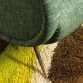 POLTRONA  LADY  Dark Green  Anni 50 Design Attribuito Marco Zanuso Made in Italy
